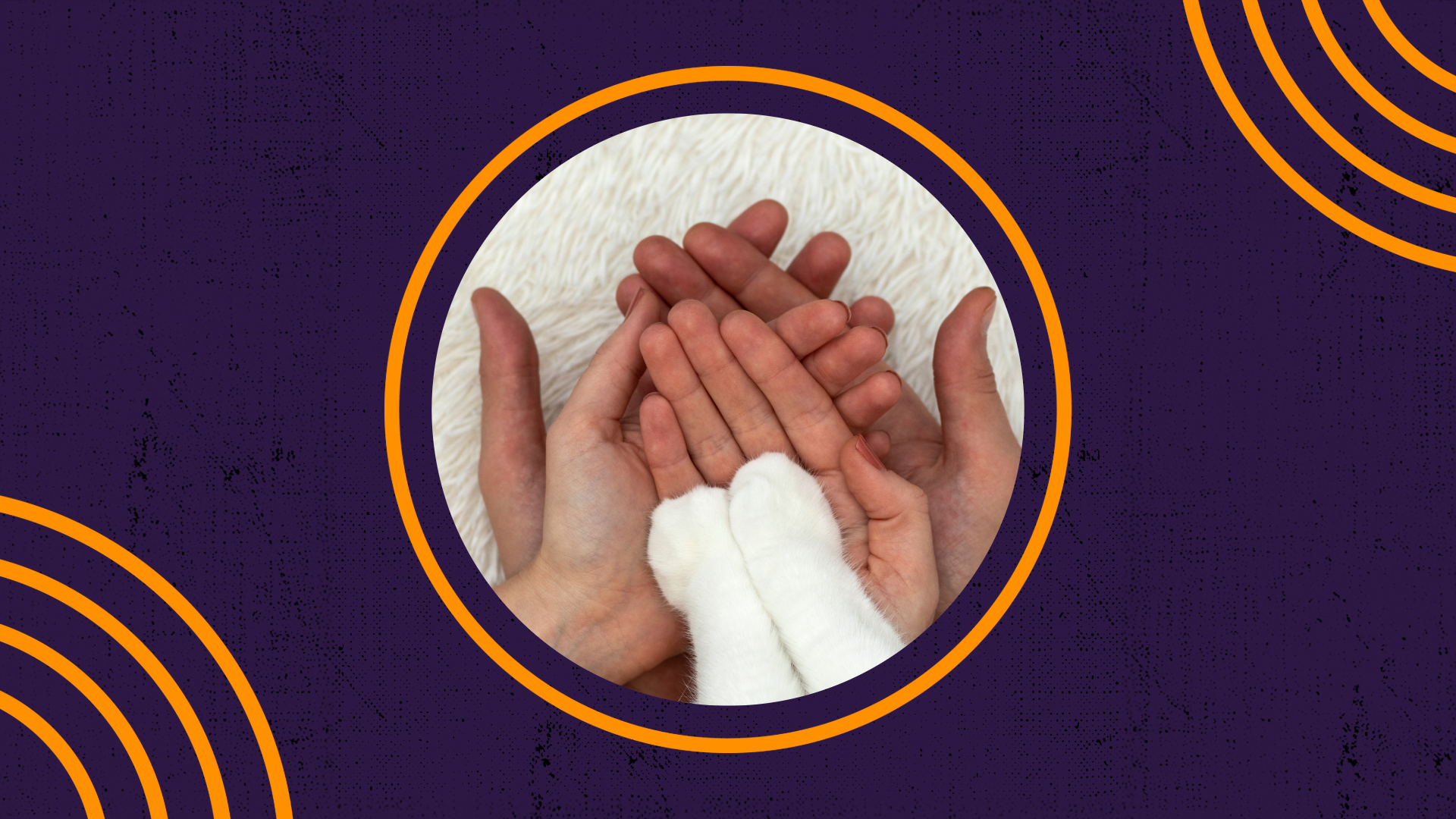 Caring for Clients and Creatures: Balancing Human and Animal Needs - Webinar