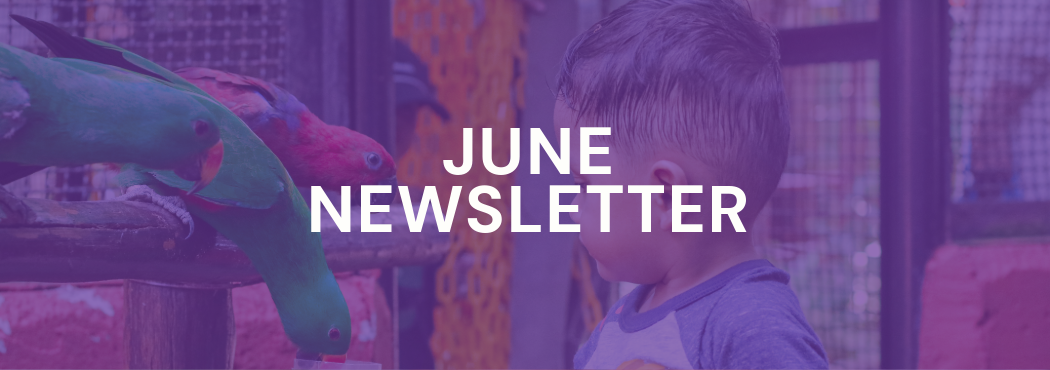 June Newsletter | Elysian Academy