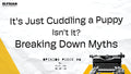 It's Just Cuddling A Puppy: Breaking Down Myths - Opinion Piece #6