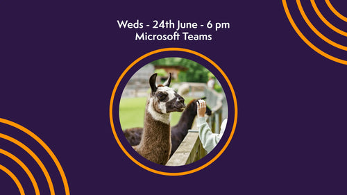 Promotional graphic for a Microsoft Teams AAI Webinar with Elysian Academy on June 24th at 6 pm, featuring an image of a llama.