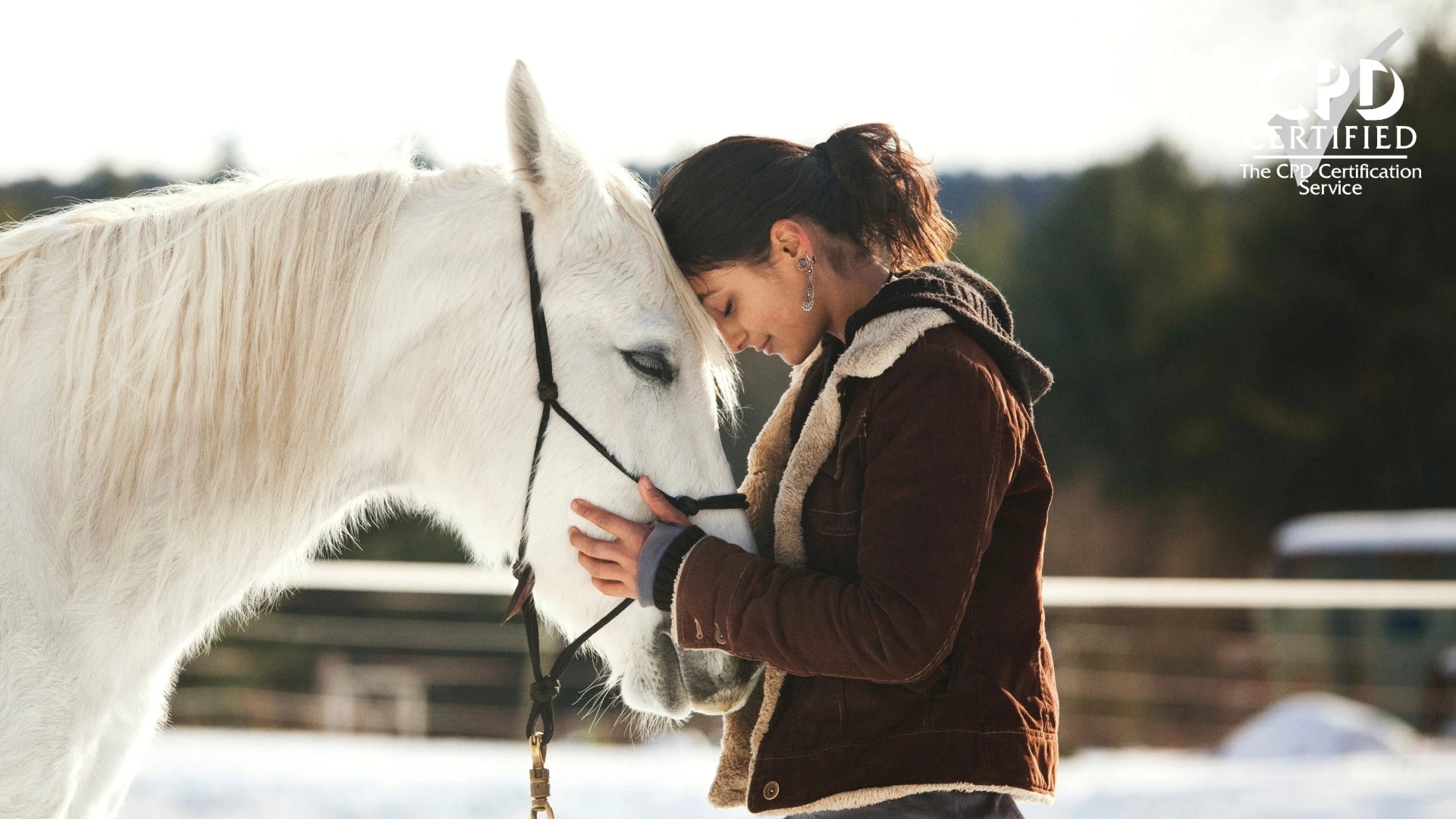 Woman in a brown jacket standing next to a white horse in a snowy field