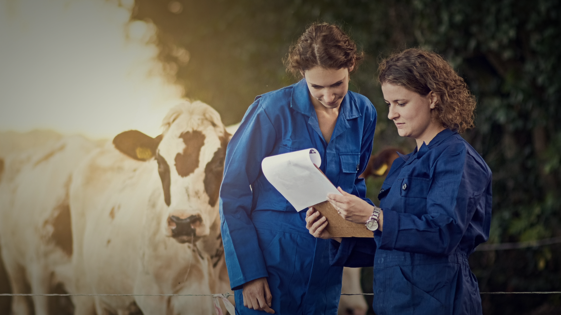 Introduction to Animal Licensing for Animal Assisted Interventions