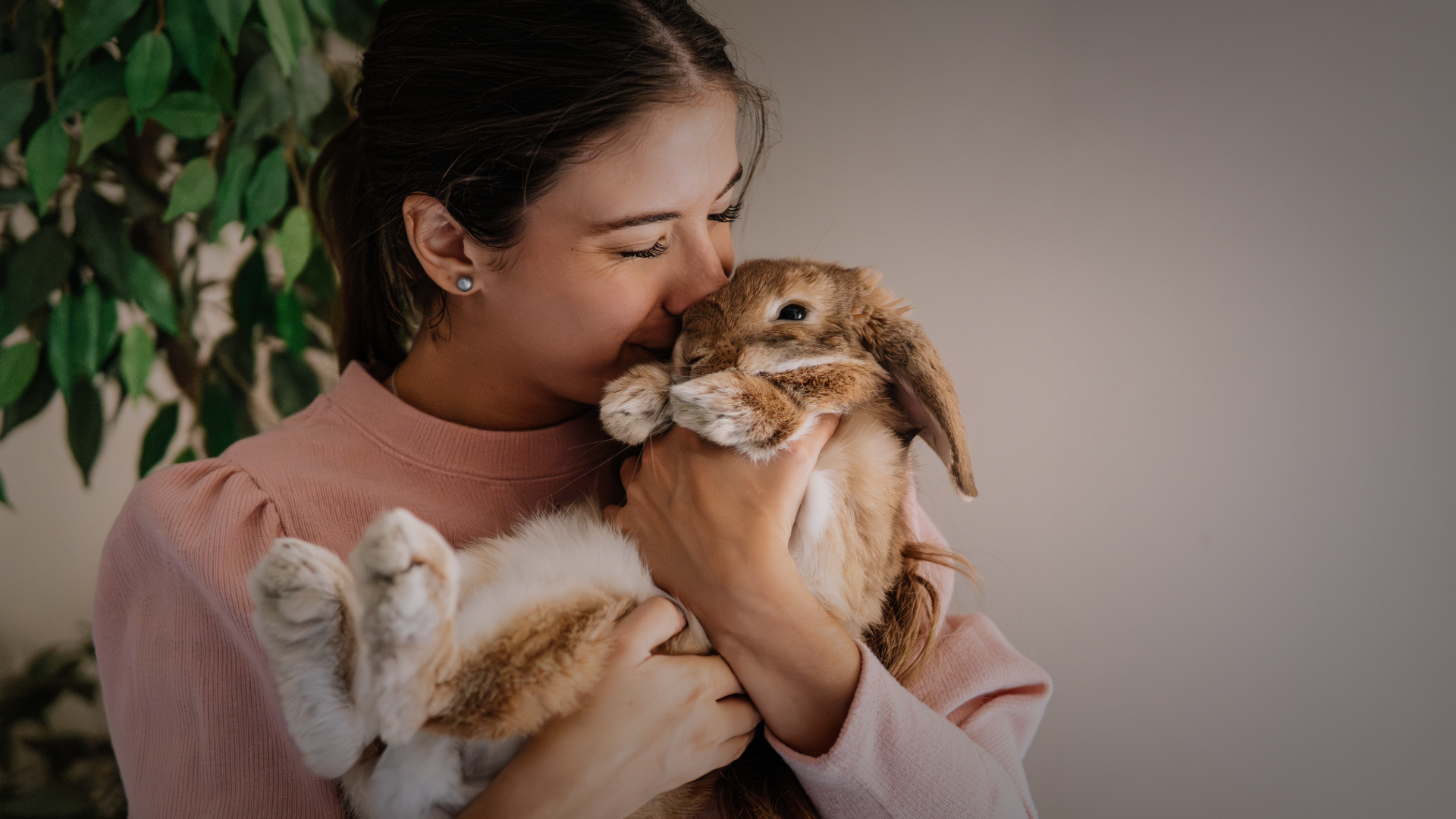 Introduction to Animal-Assisted Interventions in Care Settings