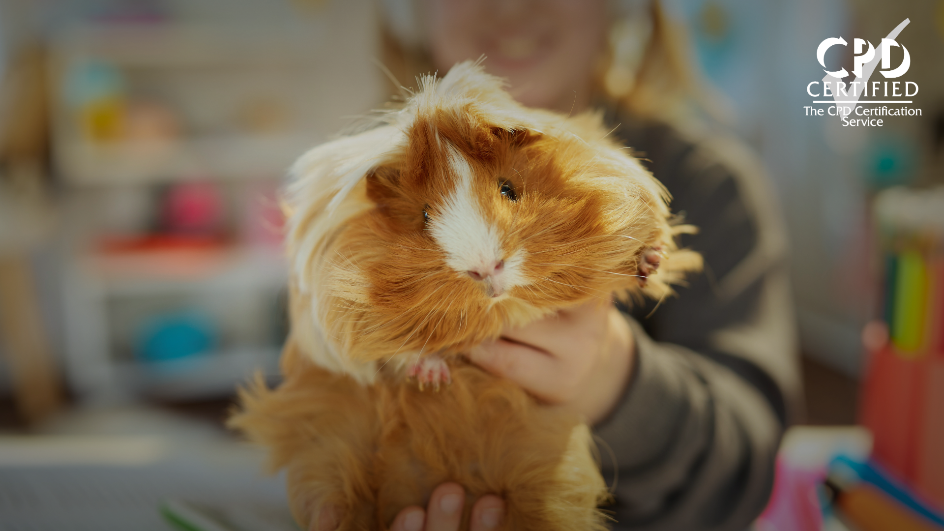 The Power of Animal Presence in Learning Spaces