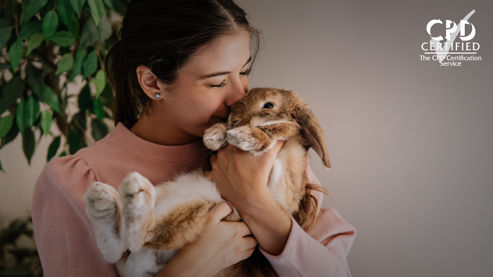 Introduction to Animal-Assisted Interventions in Care Settings