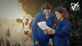 Elysian Academy animal licensing course, two people in blue coveralls with cows, CPD Certified
