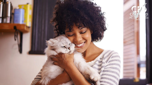 Woman cuddles a grey cat at Elysian Academy